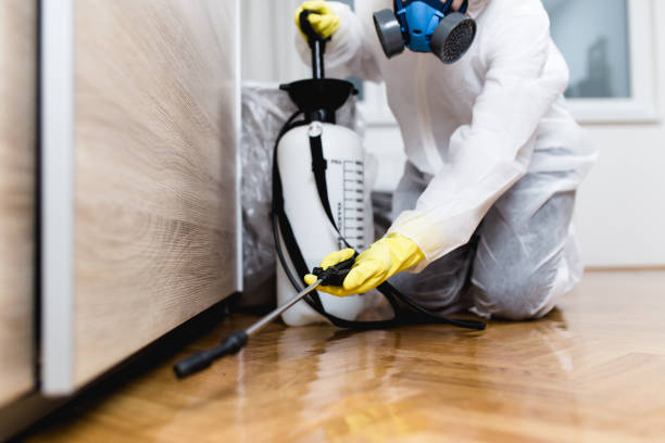 Best Wasp Removal Services  in Sunnyslope, WA
