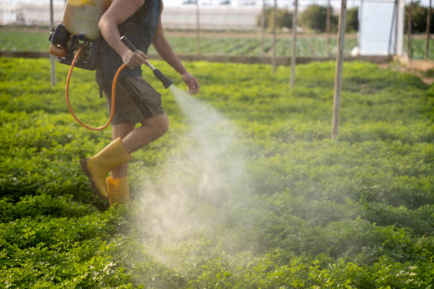Best Best Pest Control Companies  in Sunnyslope, WA