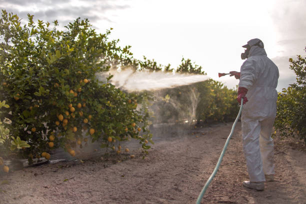 Best Pest Control Near Me in Sunnyslope, WA