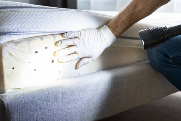 Best Flea Control Services  in Sunnyslope, WA