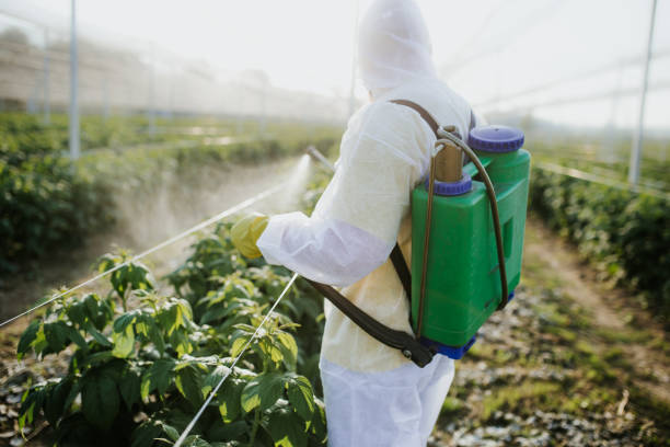 Best Commercial Pest Control Services  in Sunnyslope, WA